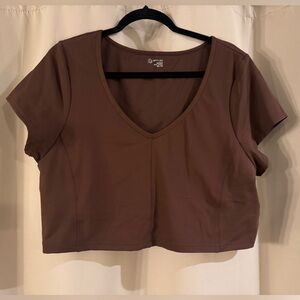 Aerie Brown Offline Crop Top